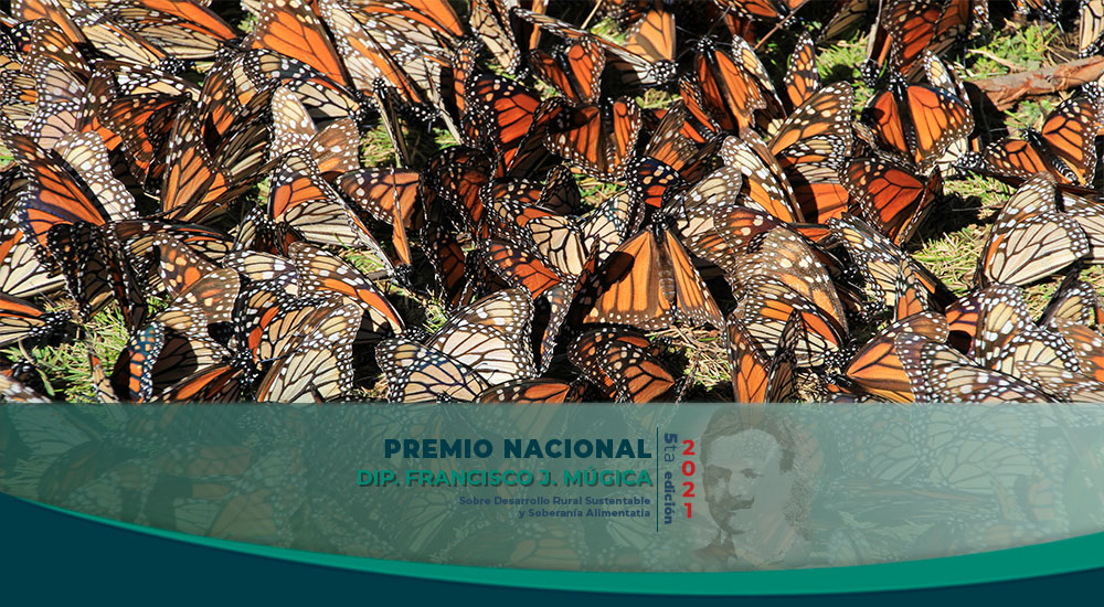 Publicación 0 destacada