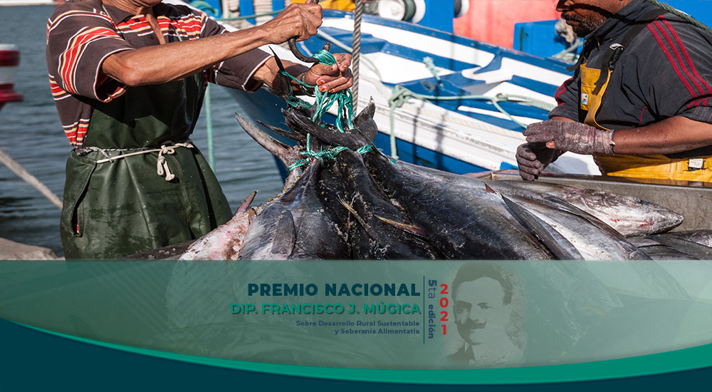 Publicación 1 destacada